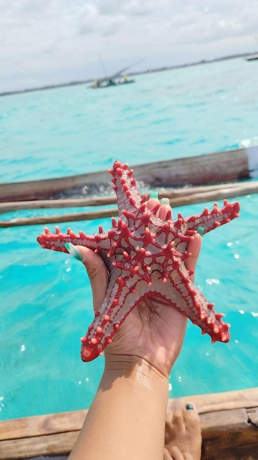 جامبياني Pamoja Beach Stays Hotel In Jambiani المظهر الخارجي الصورة