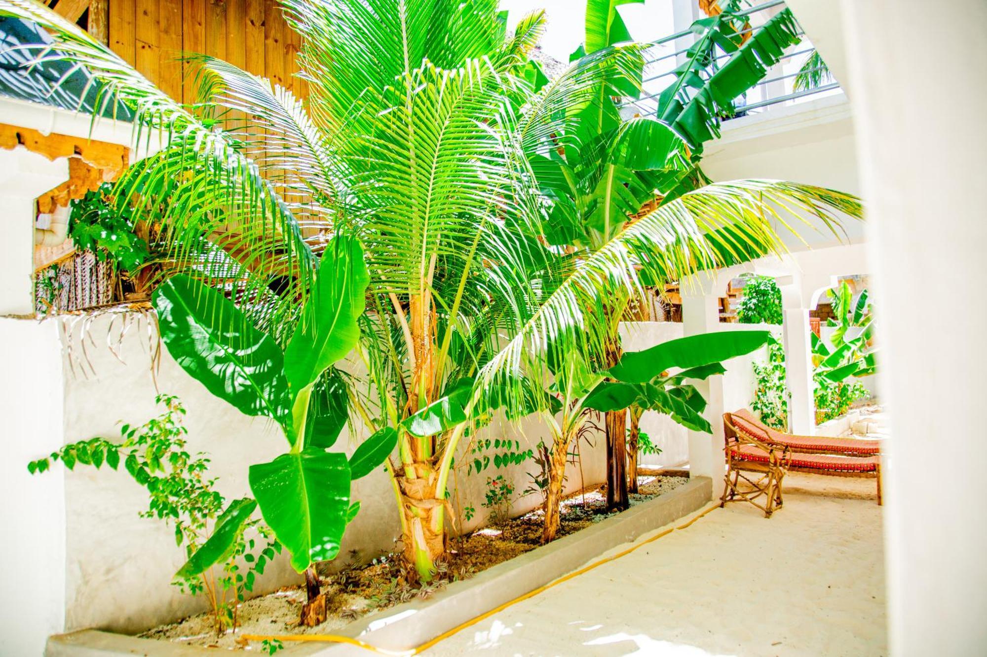 جامبياني Pamoja Beach Stays Hotel In Jambiani المظهر الخارجي الصورة